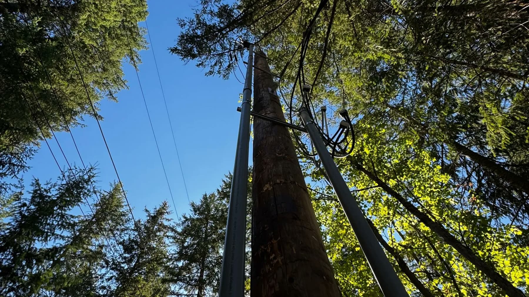 Utility pole and overhead lines against the sky